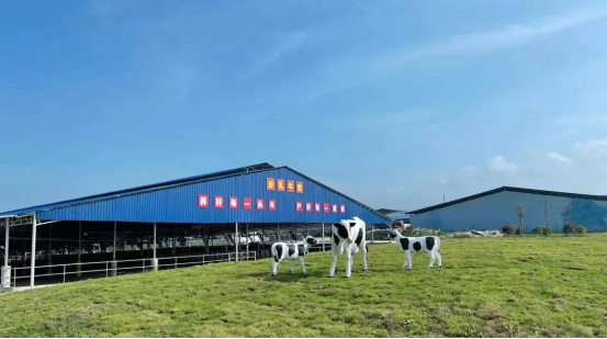 奶源建設再提速！田東縣皇氏奶業(yè)示范區正式投產(chǎn)！