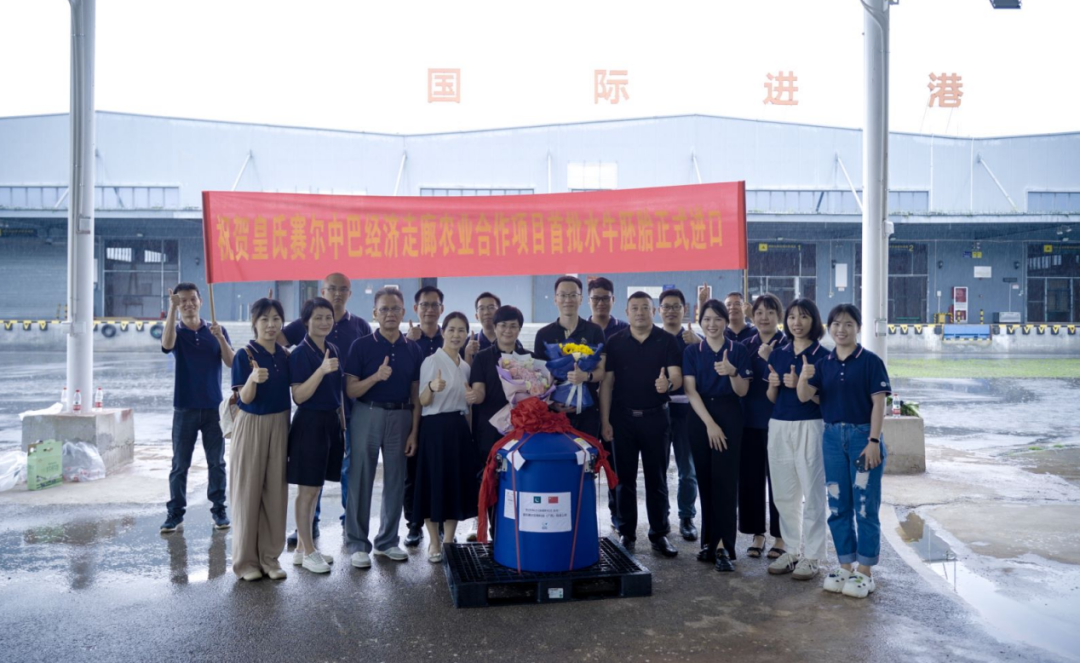 重磅！全國首批5000枚進(jìn)口巴基斯坦優(yōu)質(zhì)奶水牛胚胎入境，第一時(shí)間落戶(hù)皇氏集團投入奶水牛改良繁育生產(chǎn)